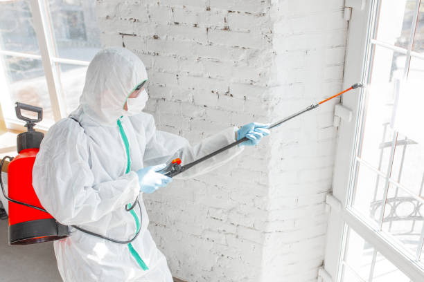 Best Emergency Mold Remediation  in Estancia, NM