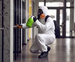 Best Commercial Mold Inspection  in Estancia, NM